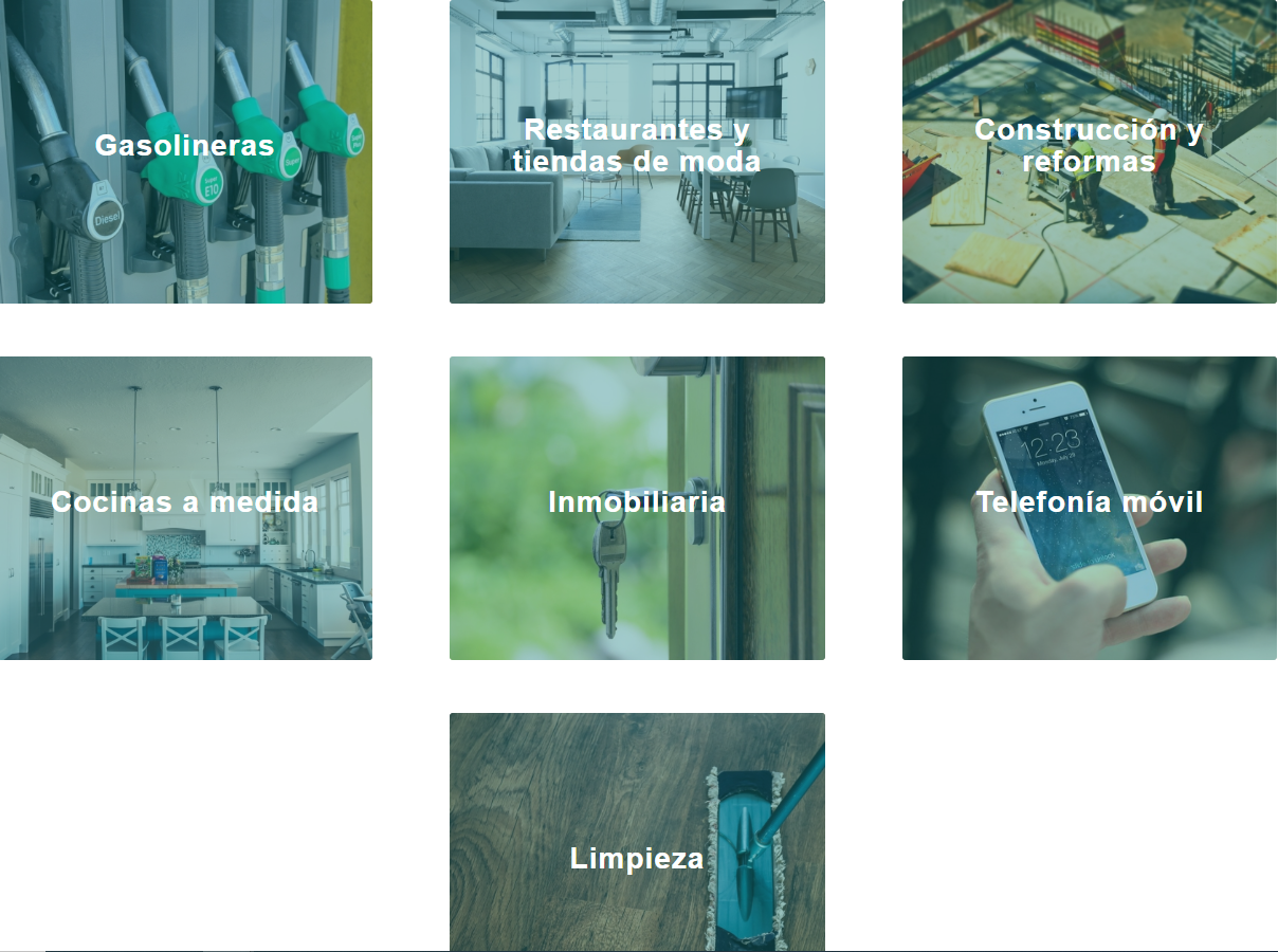 Capital Euroholding Pintor