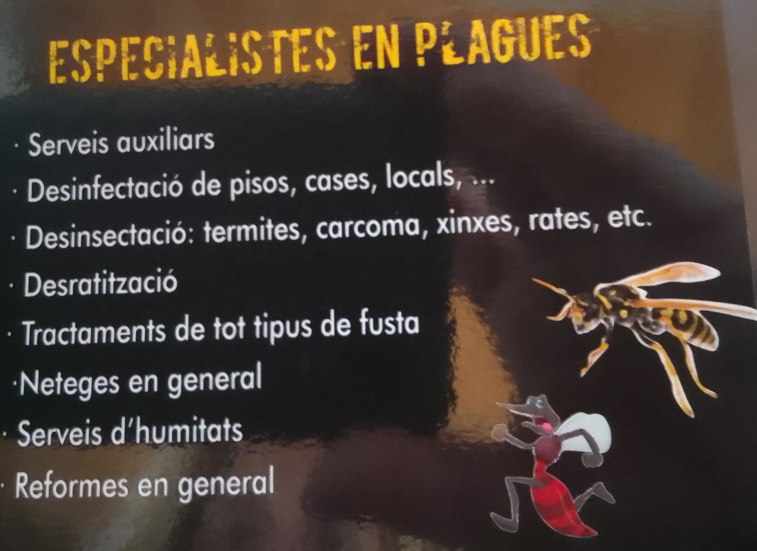 Galería de imágenes