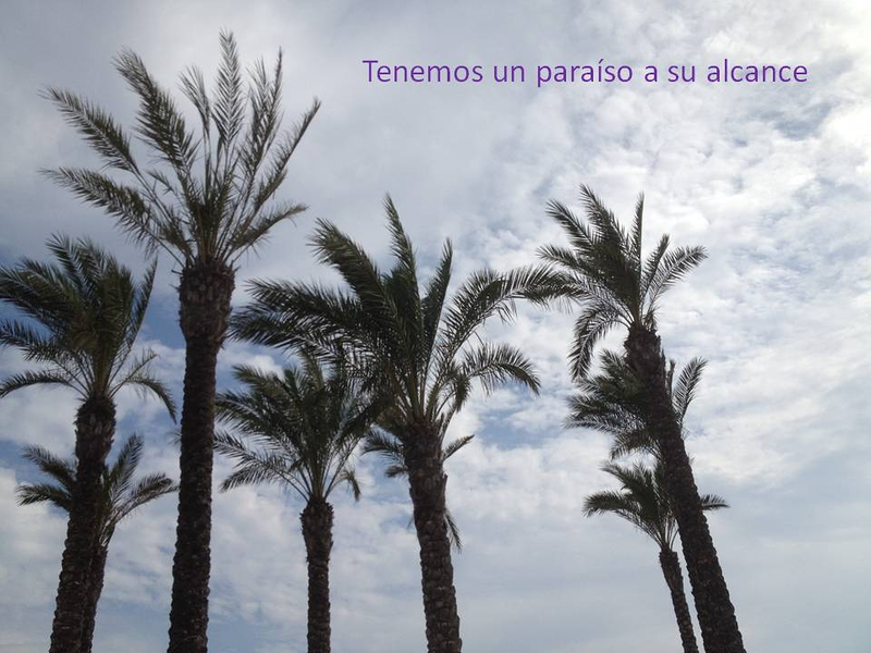 Charo Perez (Servicios Inmobiliarios) 7