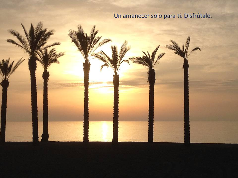 Charo Perez (Servicios Inmobiliarios) 4