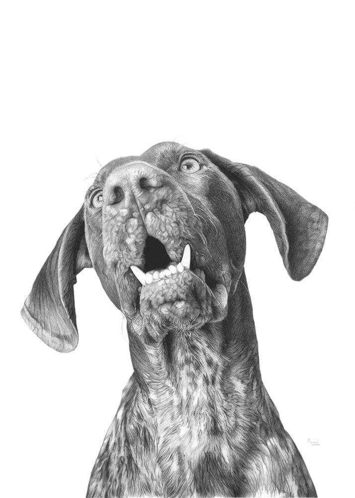 Omorfia Art Gallery 39