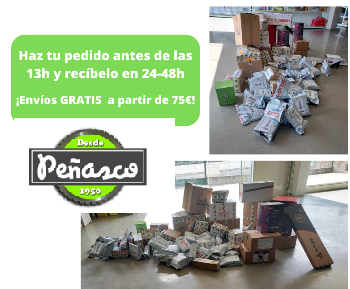 Comercio Pe&ntilde;asco 10