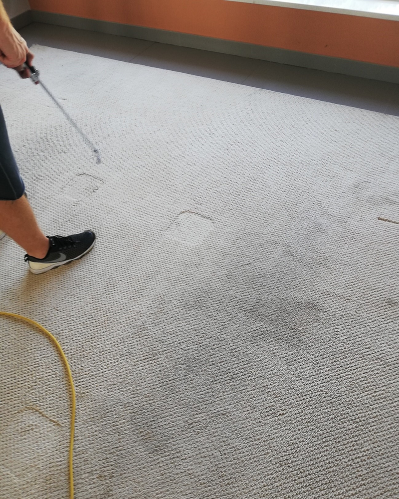 Todo Limpio - Limpieza de Tapicerias Marbella 12