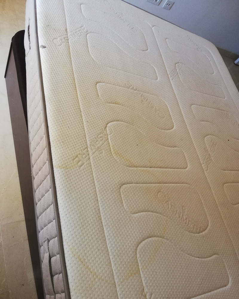 Todo Limpio - Limpieza de Tapicerias Marbella 9