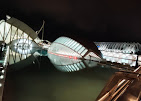 Galería de imágenes