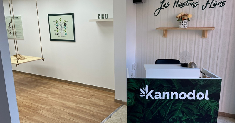 Kannodol - Cannabidiol 10