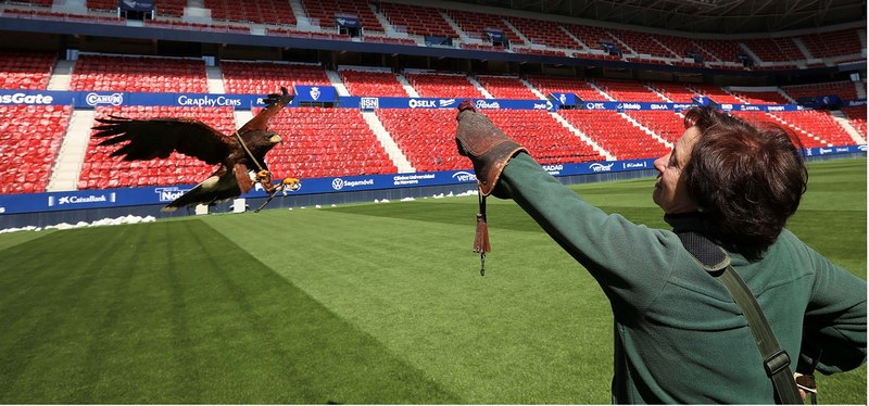 Control Peregrinus Zorita de la Frontera