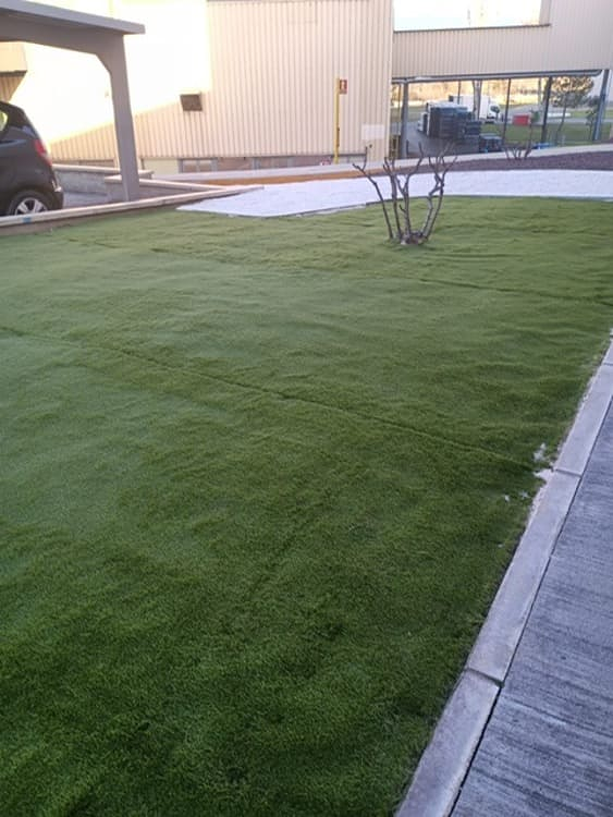 Jardineria Ruben 6