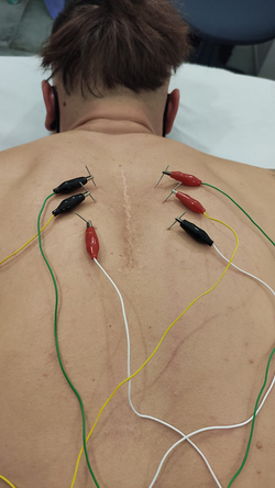 Galería de imágenes