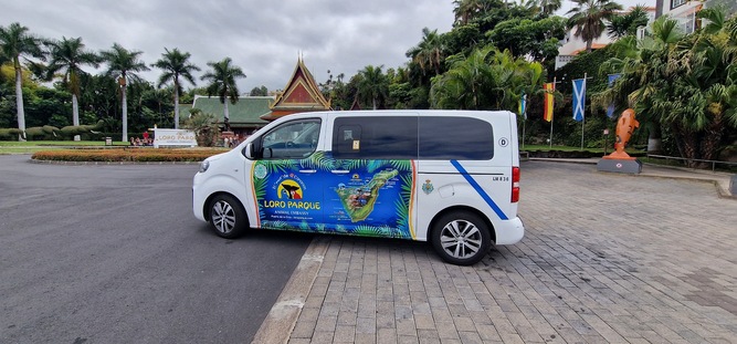 Taxi en Santa Cruz De Tenerife Tourentaxi 13