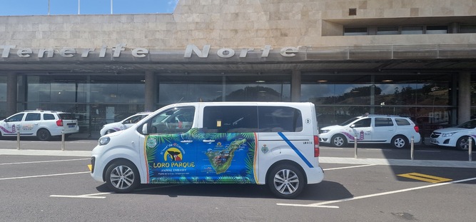 Taxi en Santa Cruz De Tenerife Tourentaxi 9