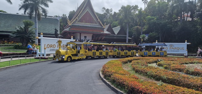 Taxi en Santa Cruz De Tenerife Tourentaxi 12