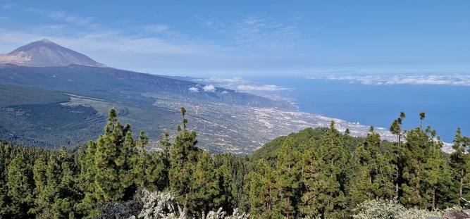 Taxi en Santa Cruz De Tenerife Tourentaxi 5