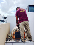 Galería de imágenes