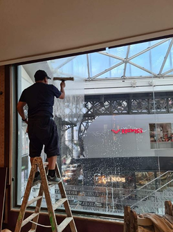 Galería de imágenes