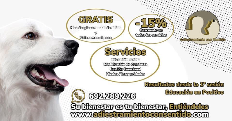 ADIESTRAMIENTO con SENTIDO PERROS: ADIESTRAMIENTO