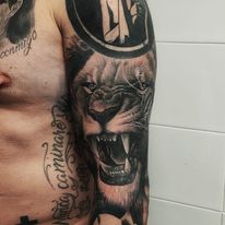 Galería de imágenes