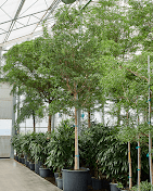 Imagen de Bloom Marbella S.l.