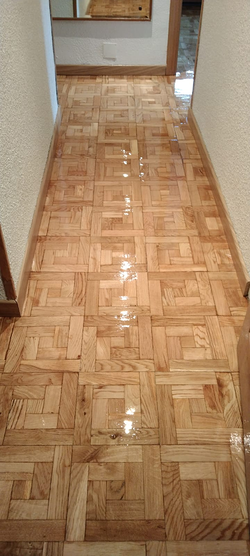 Galería de imágenes