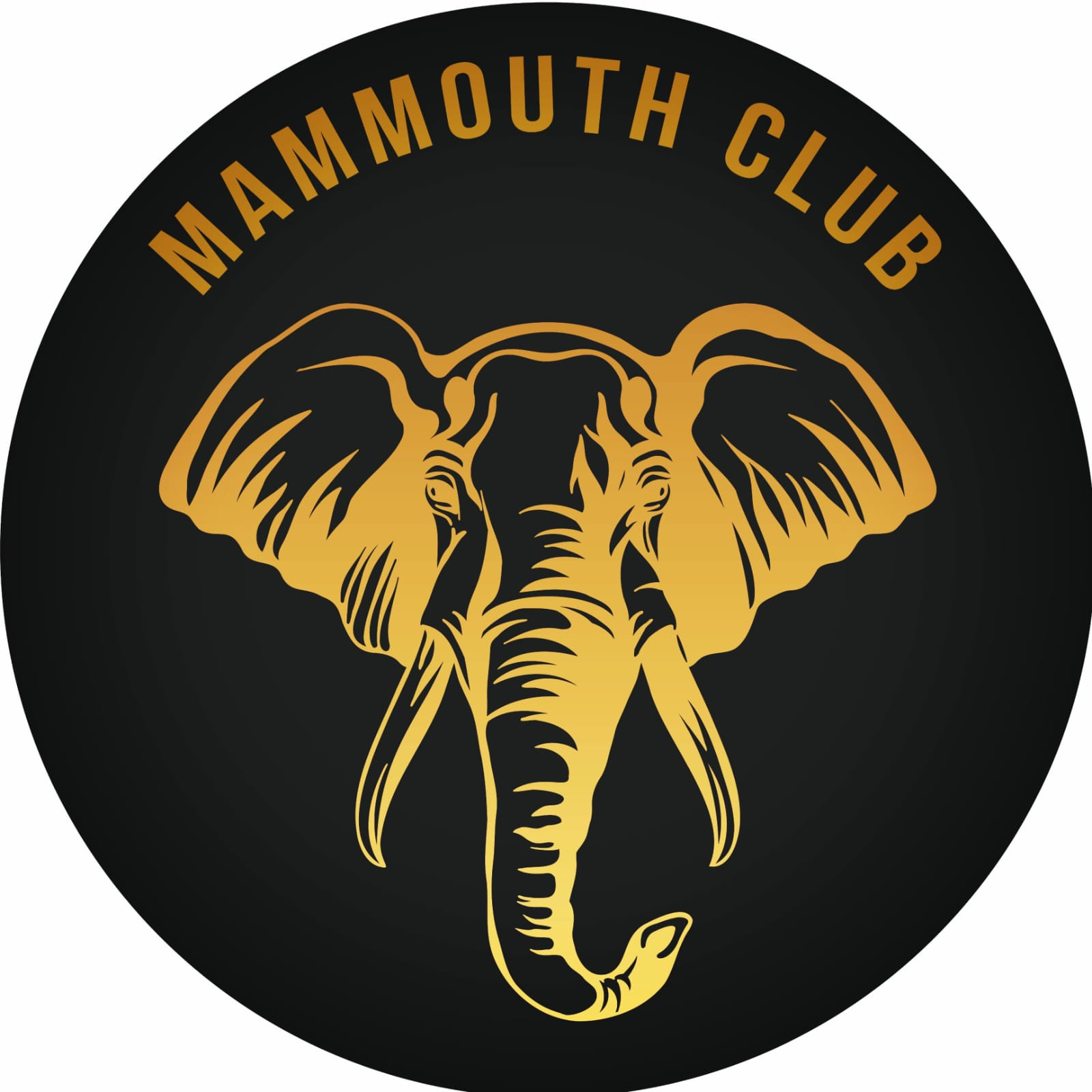 Mammouth Bar de Copas