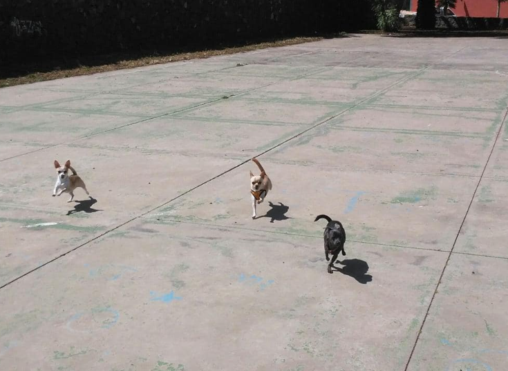 Galería de imágenes