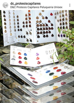 Galería de imágenes