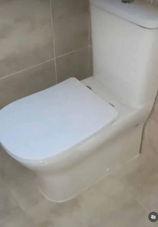 Reformas Corzo Bravo 3