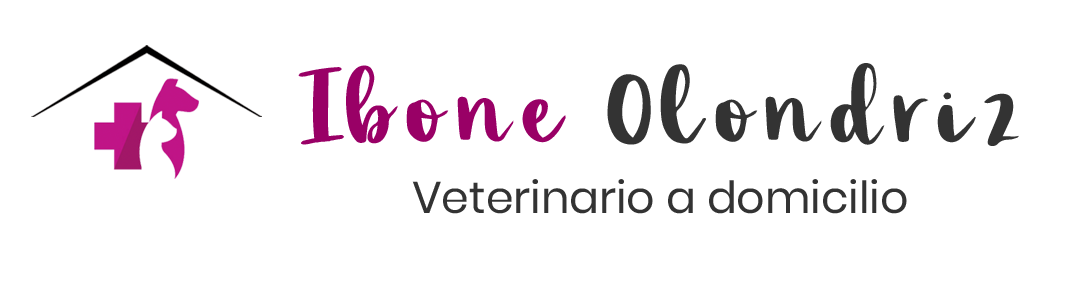 Ibone Olondriz Veterinario A Domicilio