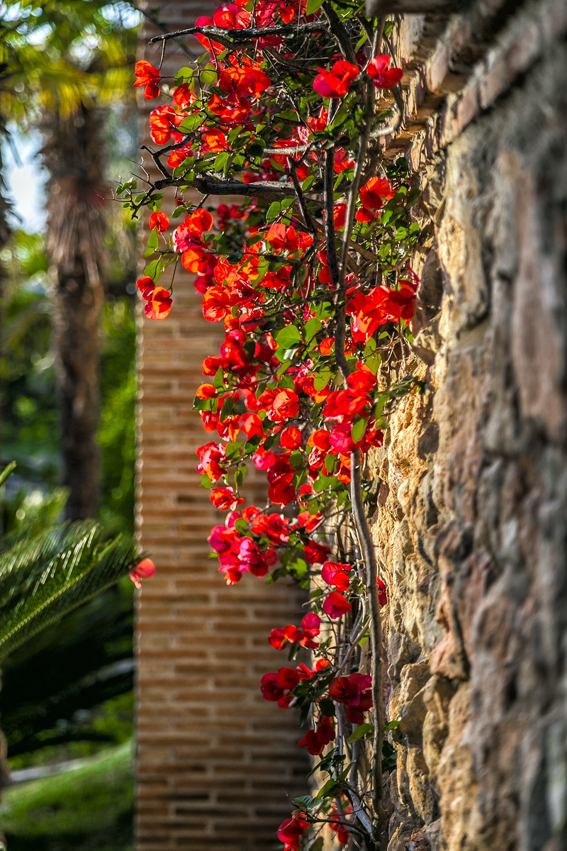 Huerta del Conde 17