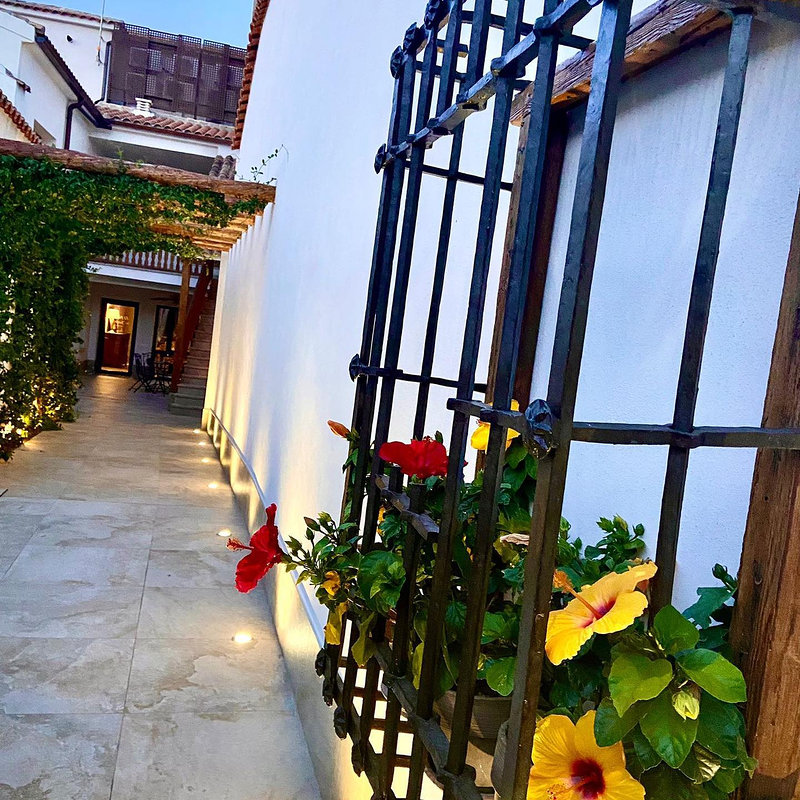 El Patio de los Jazmines 6