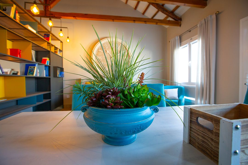 El Patio de los Jazmines 35