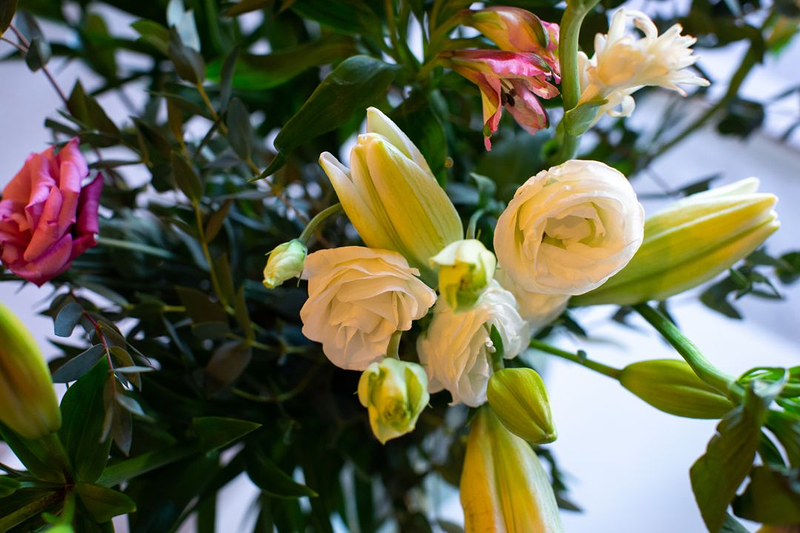 El Patio de los Jazmines 22