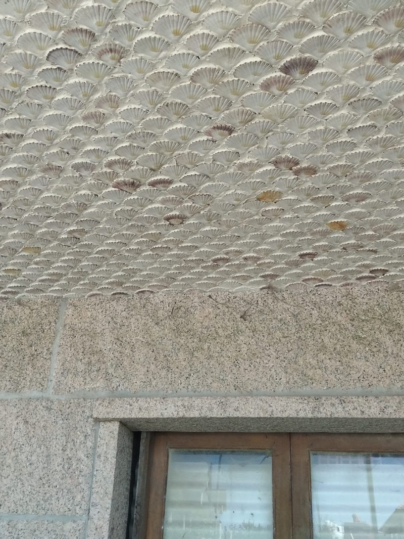 Shell Panel Sanxenxo