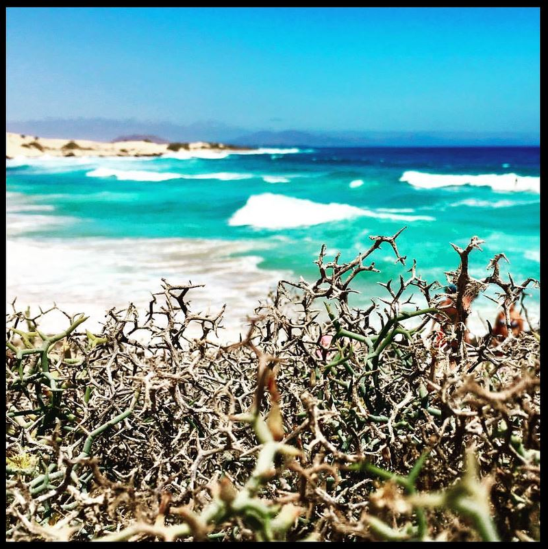 Long Beach Surf House 12