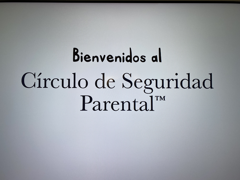 Ver&oacute;nica Hansen Psic&oacute;logo EntreMentes 5