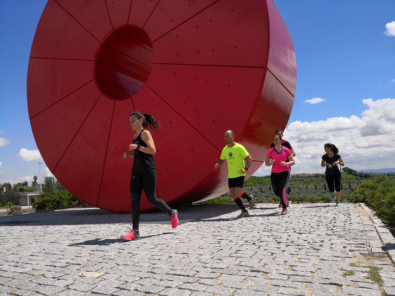 Brave Bulls Training 54