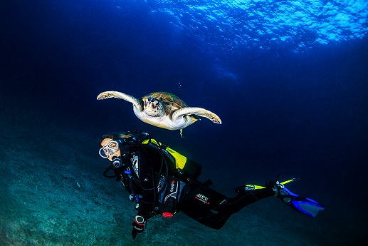 Sa Caleta Tenerife Dive Center 9