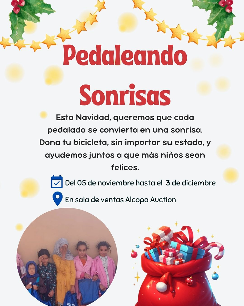 Alcopa Auction Espa&ntilde;a S.L. 8