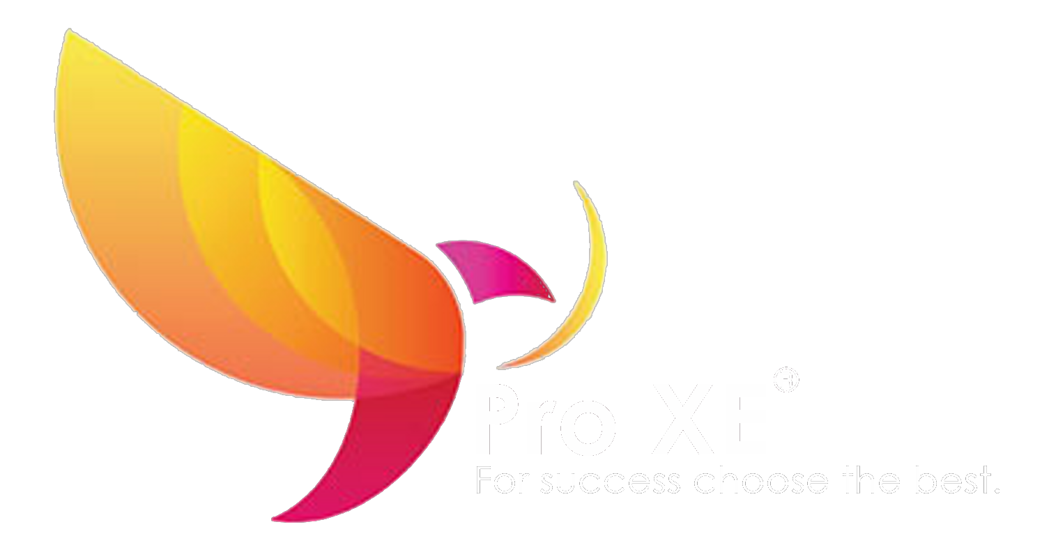 PRO XE - Software de Gestión para Alojamientos