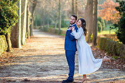 Galería de imágenes