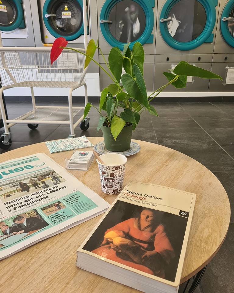 A Lavandeira Do Cami&ntilde;o 6