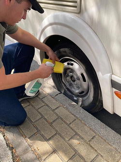 Galería de imágenes