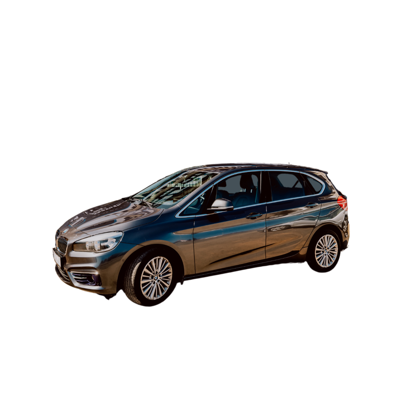 Carbon Car Rental Marbella 8