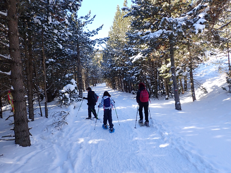 Dmocions DEPORTES DE AVENTURA