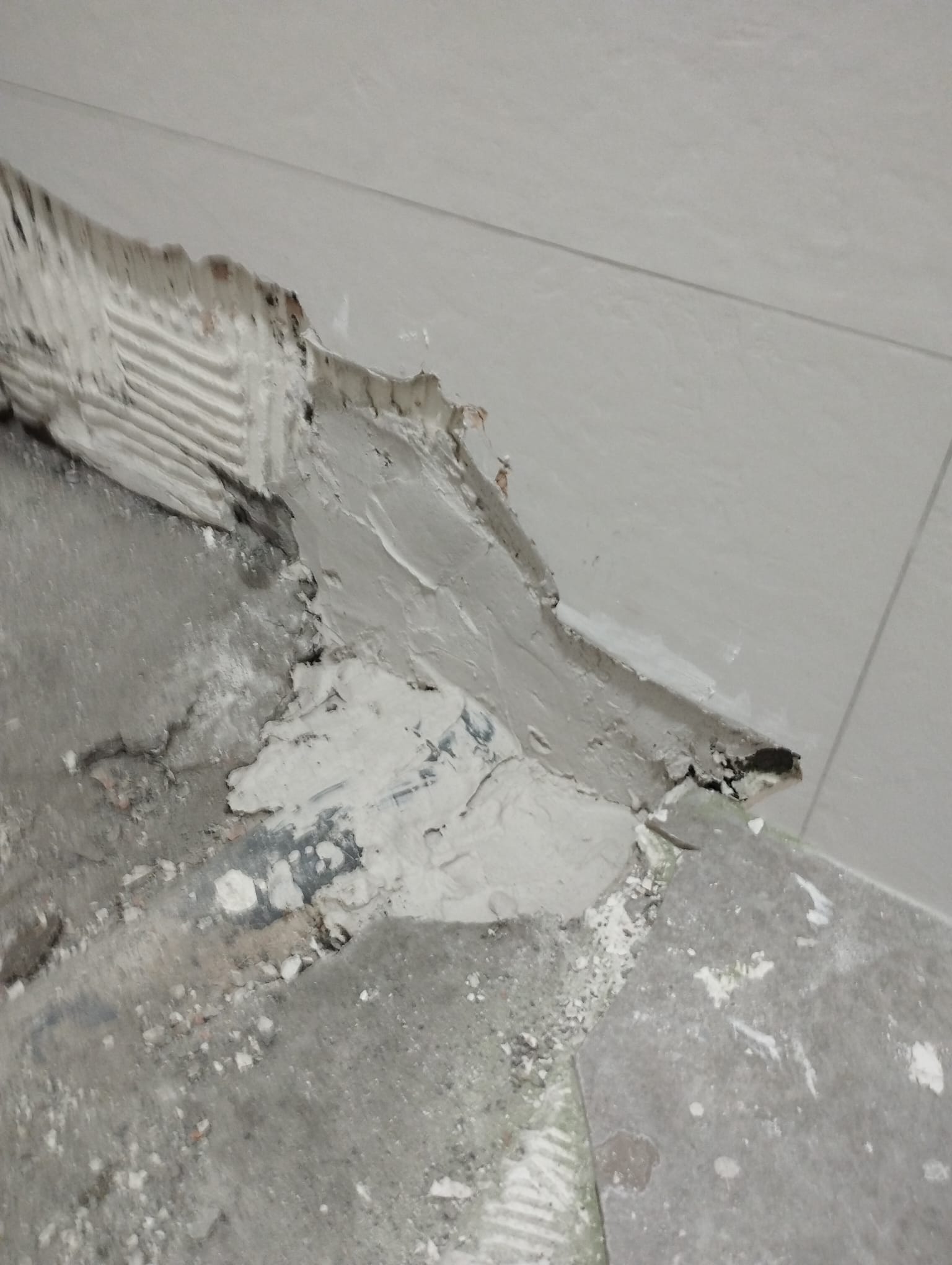 Proyectos y reformas j.j