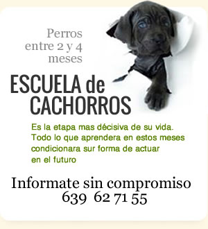 Ciervacán Susana Odeth