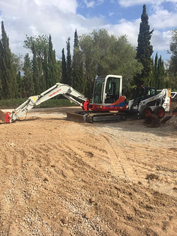 Galería de imágenes