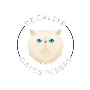 De Calixe Persas Solidos Y Bicolores