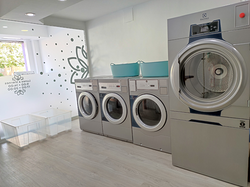 Imagen de Lavanderia Y Tintoreria Flor De Loto