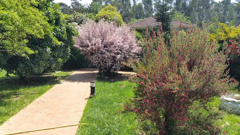 Vivienda de Uso Turístico Las Hortensias 9
